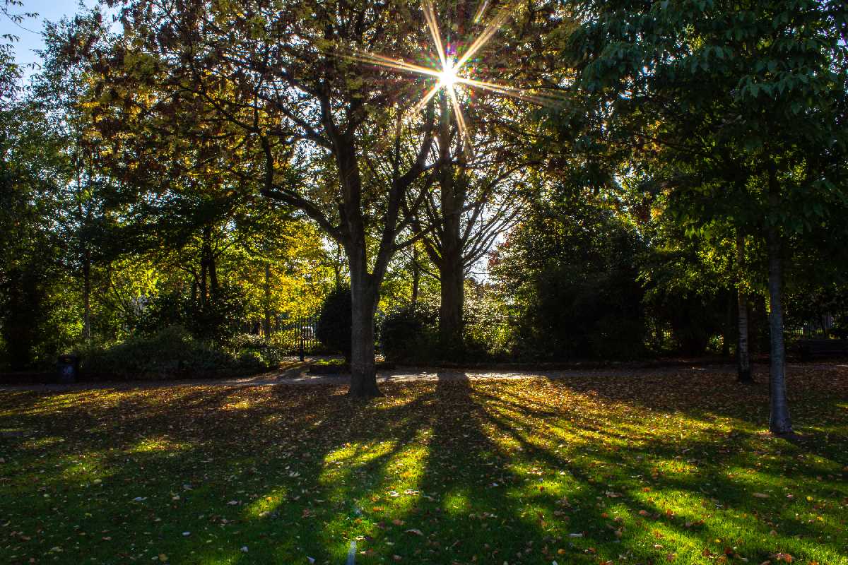 Dazzling autumn sun in Kings Heath Park